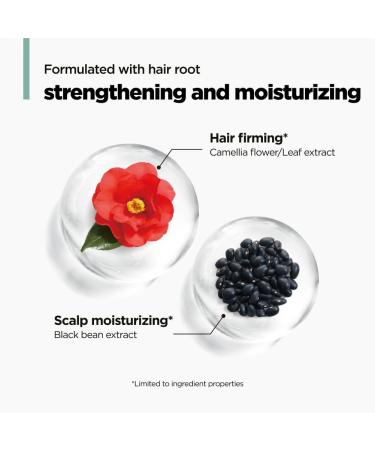 AMOS PROFESSIONAL The Green Tea Volume Mist | Root Lifting & Volumizing for Fine Hair Korean Hair Styling Spray Texturzing Spray 4.7 fl. Oz - Buy Online on GoSupps.com