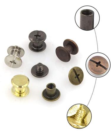 EXCEART 100 Sets Lash Rivet Boxed Diy Crafts Brass Rivets Double- Sided Rivets Diy Studs Self Made Component Assorted Color 0.8x0.8cm - Buy Online on GoSupps.com