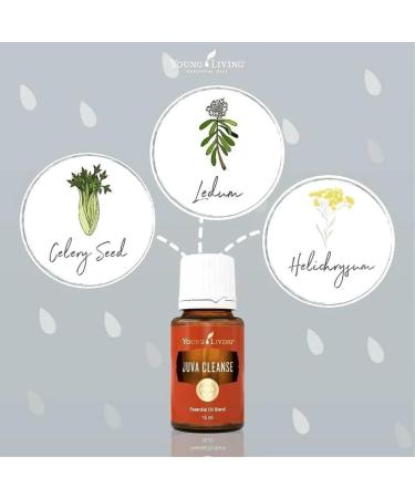 Young Living JuvaCleanse 15 ml - Natural Detox Essential Oil Blend for Aromatic Cleansing - Premium Greek Remedies - Buy Online on GoSupps.com