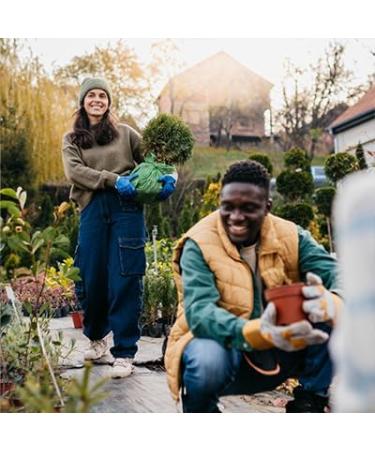 Futurebiotics Vitamin K2 with D3 2 in 1 Support 5000 IU Vitamin D3 & 90 mcg Vitamin K2 MK-7 Non-GMO 120 Tablets 120 Count (Pack of 1) - Buy Online on GoSupps.com