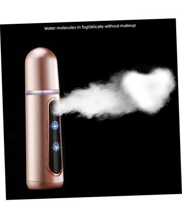 FOMIYES 2pcs Nano Facial Mister Nano Mist Sprayer Facial Mister Sprayer Mini Steamer Humidifier Face 14X3.9X3.9CMx2pcs Rose Goldenx2pcs - Buy Online on GoSupps.com