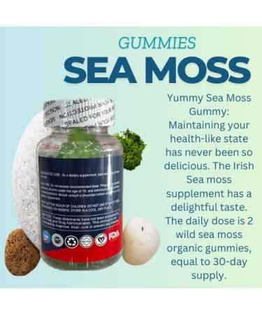 B2U Irish Sea Moss Gummies Sea Moss 1600mg Bladderwrack 1000mg Burdock 240mg 60 Vegan Seamoss Gummies Bears - Buy Online on GoSupps.com