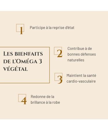 PRINCE EQUIN - OMEGA 3 VEGETAL - Horse nutritional supplement - Linseed oil and seaweed oil rich in omega 3 - Bottle 250 ml - Horse condition recovery - Shine of the dress - French brand - Buy Online on GoSupps.com