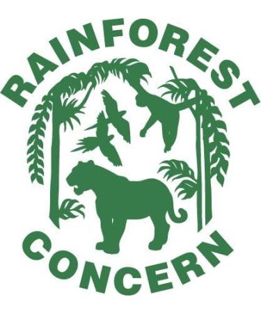 Organic Chlorella Powder 200g - Premium Quality Superfood - Rainforest Foods - Buy Online on GoSupps.com