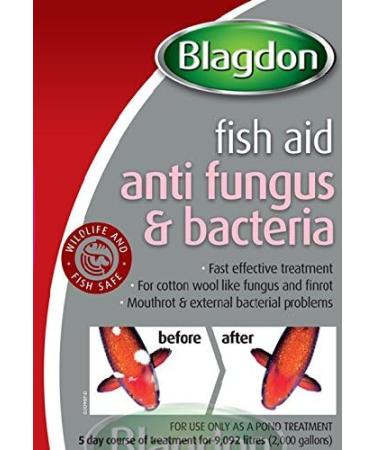 Blagdon Fast Acting Anti-Fungus & Bacteria Water Treatment for All Pond Fish Finrot Mouthrot External Bacterial Infections Wildlife & Fish Safe 1 Litre Clear 1 l (Pack of 1) - Buy Online on GoSupps.com