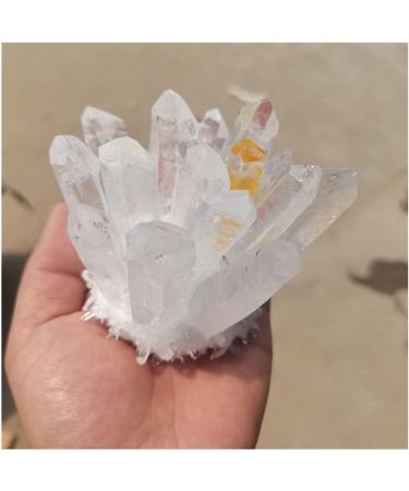 Crystal Rough Natural Crystal Rough Natural White Transparent Crystal Cluster Stone ore Specimen demagnetization Stone Purification Ment Stone decoratio (Size : 600-700g) - Buy Online on GoSupps.com