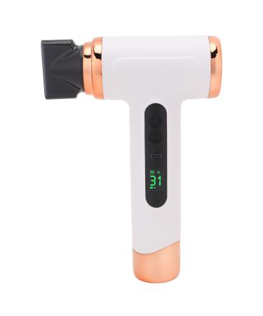 Professional Hair Dryer 200W Hairdryer Cordless Hair Dryer with Cool Shot Wind USB Rechargeable Travel Hair Dryer Low Noise for Smooth Sleek Hair for Women Man (#2)