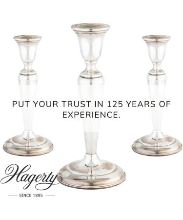 Hagerty Silver Polish 100 ml - Buy Online on GoSupps.com