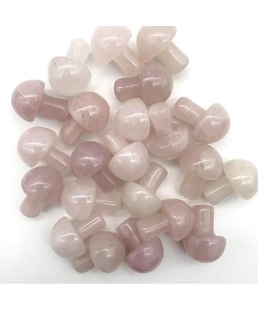 Home Decoration Natural Pink Rose Crystal Mushroom Shaped Polished QuartzStones Specimen Home Decoration Crystals Stones ERTEYIN Natural Luster (Size : 2pcs) - Buy Online on GoSupps.com