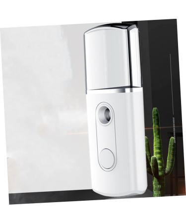 Hemoton 3 Pcs Fashion Mist Sprayer Steamer Creative Nano Mist Sprayer Mini Face Spray Device - Buy Online on GoSupps.com
