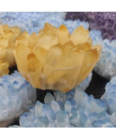 Natural Crystal Rough Specimen 1pcs300-700g Big Size Natural Citrine Quartz Geode Druzy Crystal ClusterSpecimen Home DecorationStone Crystal (Size : 600-700g) - Buy Online on GoSupps.com