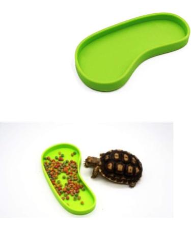 LSTCPGLAI 2 Pieces Shallow Reptile plate Reptile Food Water Bowl Used for Tortoise Corn Snake Crawl Pet Drinking and Eating(Green) - Buy Online on GoSupps.com