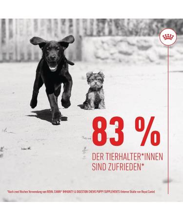 ROYAL CANIN Immunity & Digestion Chews Puppy Supplements | Double Pack | 2 x 100g | Supplementary Feed for Puppies | To Support Digestion & Defences - Buy Online on GoSupps.com