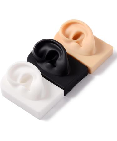 Silicone Acupuncture Ear Model Set for Science Class - Reusable & Anatomically Accurate - Buy Online on GoSupps.com