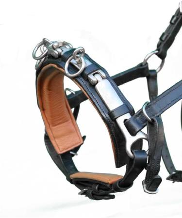 Brama West Leather Cavesson with Nosepiece - Size Cob | Premium Quality Equestrian Gear for International Shipping - Buy Online on GoSupps.com