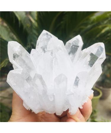 Natural Clear Quartz Crystal Cluster Minerals for Reiki Stone Home Furnishing Decoration Suitable for Furniture Decoration Full of Texture (Size : 700-800g) - Buy Online on GoSupps.com