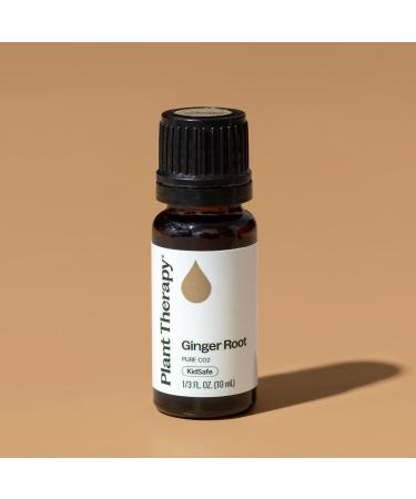 Plant Therapy Ginger Root CO2 Essential Oil 100% Pure Undiluted Natural Aromatherapy Ginger Oil for Diffuser Skin & Massage and Hair Therapeutic Grade 10 mL (1/3 oz) 0.33 Fl Oz (Pack of 1) - Buy Online on GoSupps.com