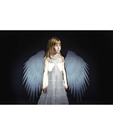 Spekular Light Blaster Creative Wings Kit - Transform Your Photography with Stunning Effects - Buy Online on GoSupps.com