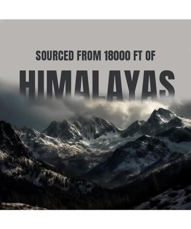 Pure Himalayan Shilajit Sticks with Organic Honey & Saffron (7 Count) | Easy Single Use Shilajit Sticks | Boosts Energy & Immunity with 85+ Trace Minerals 75%+ Fulvic Acid classic - Buy Online on GoSupps.com