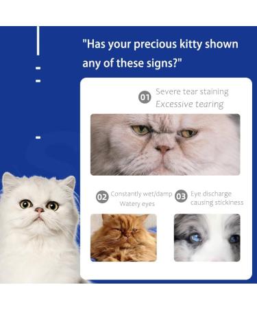 Ellisalano 300 Capsules Pet Blueberry Lutein Chewable Vision Support TabletsEye Care Supplement for Dogs and Cats - Buy Online on GoSupps.com