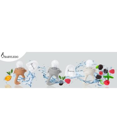 BABYLEDO Baby Fruit Pacifier with Teething Ring - Fox Brown | Safe Baby Teething Aid for Fruits & Vegetables - Buy Online on GoSupps.com