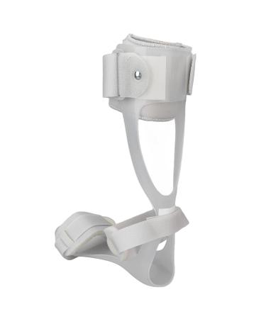 Ankle Foot Orthosis Support Splint - Drop Foot Orthopedic Traction - Right Foot XL - Buy Online on GoSupps.com