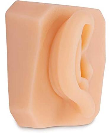 Life-Size Human Ear Silicone Model for Training and Education Display - Buy Online on GoSupps.com