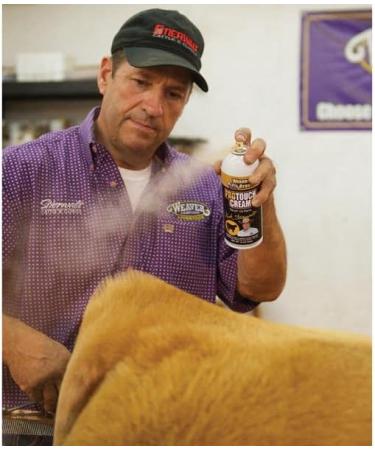 Weaver Leather Pro-Touch Paint Cream - Professional Grade Leather Restoration - Buy Online on GoSupps.com