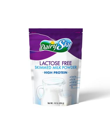 DairySky Lactose Free Milk Powder Free Non GMO Fat Free for Baking & Coffee, Kosher with Protein & Calcium | Great Substitute for Liquid Milk | RBST Hormone-Free (16oz)