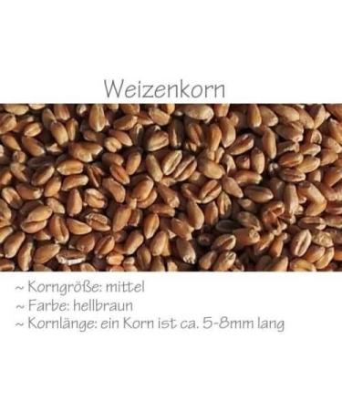 Buy 7-Chamber Grain Pillow with Band - 65x15 Heat Therapy in Pink | Wheat Fill for Comfort - Buy Online on GoSupps.com