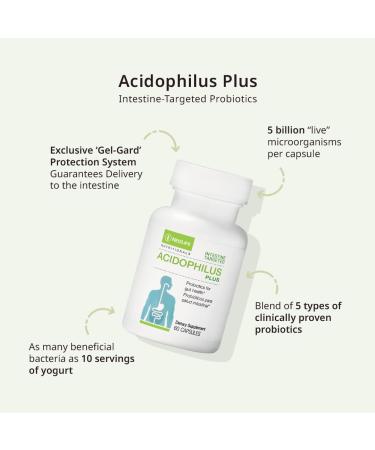 NeoLife Acidophilus Plus Probiotic - 5 Billion CFU Digestive & Gut Health Broad Spectrum Formula Probiotics for Men & Women (Single) - Buy Online on GoSupps.com