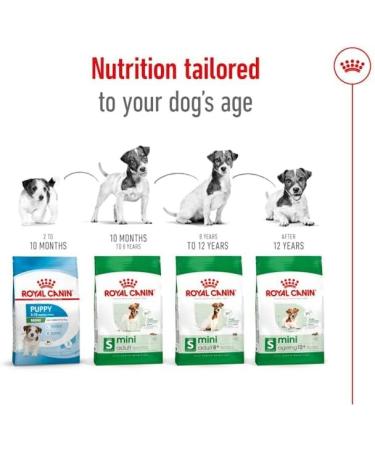 Royal Canin Mini Ageing Dog Food 12 0.8 kg - Buy Online on GoSupps.com