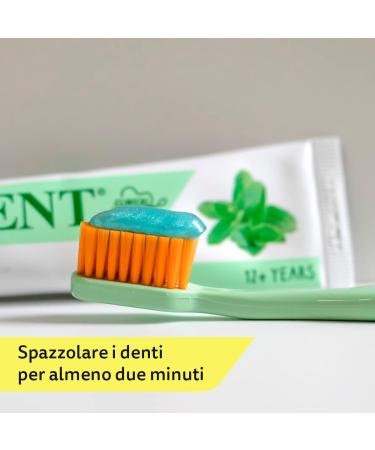  President President Toothpaste Teens 12+ Mint Flavor. Protects against cavities strengthens teeth and helps protect and maintain healthy gums. Paraben-free SLS-free allergen-free and PEG-free. RDA 50 ml - Buy Online on GoSupps.com