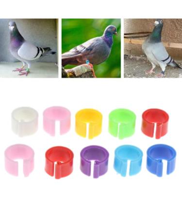 Perfk 50 Multi-Colored Aluminum Pigeon & Chicken Leg Rings - Identification Bands for Birds & Poultry - Buy Online on GoSupps.com