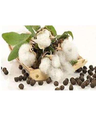 Pack of 1 Paruthi - 3.52Ounce / 100Gm - Cotton - Buy Online on GoSupps.com