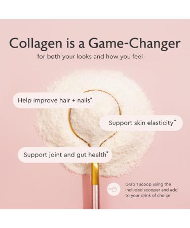 Alaya Multi Collagen Powder (40 Servings) & Micronized Creatine Monohydrate (5 g) Bundle Unflavored, Non-GMO Supplements for Muscle Energy, Skin, Hair & Joint Support - Buy Online on GoSupps.com