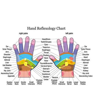 Buy Thai Payung Rosewood Foot and Massage Tool - Premium Quality Thai Wellness Products | Fast International Shipping - Buy Online on GoSupps.com