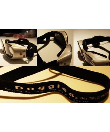 Doggles ILS X-Small Racing Flames Frame with Orange Lens - XS 1 - Buy Online on GoSupps.com