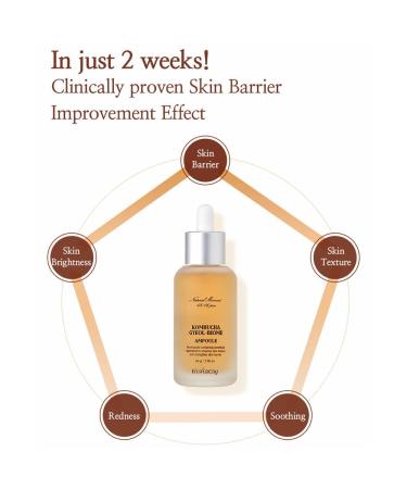 Elishacoy | Kombucha Gyeol-Biome Ampoule 50 ml / 1.69 fl oz Fermented Kombucha 506-Hour Extract, Radiance & Barrier Repair Serum-Ampoule, Vegan Skincare - Buy Online on GoSupps.com