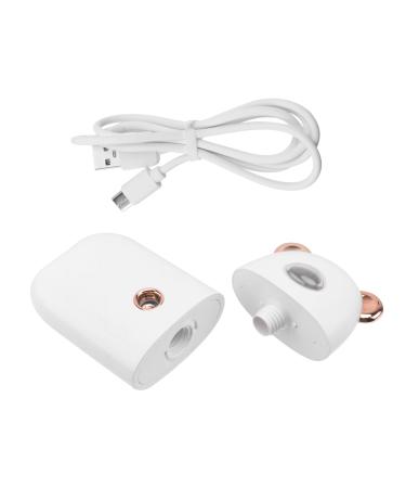 FOMIYES 2 Pcs Beauty Humidifier Portable Facial Mister Skin Moistener Face Sprayer Care Evaporator