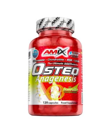 AMIX Amix Protector/Regenerator Food Supplement 750g