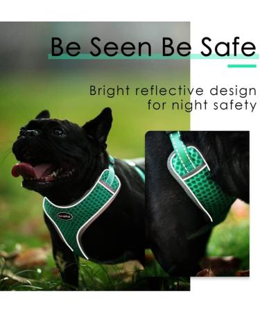 Thinkpet No-Pull Dog Harness & Leash Set - Breathable Adjustable Chest Harness for Small Medium & Large Dogs - Safe Reflective Running Harness (Green) - Buy Online on GoSupps.com