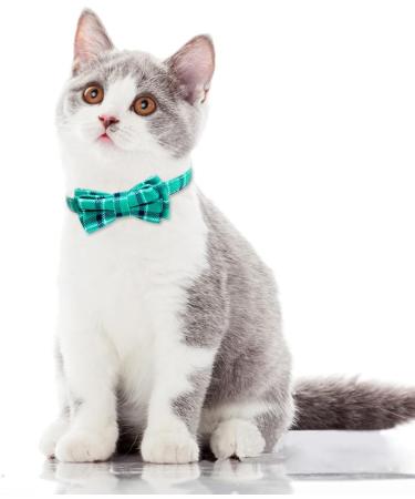 Tagme Turquoise Cat Collar with Personalized Name & Phone Number - Safe Kitten Neck Band with Bell | 1 Pack - Buy Online on GoSupps.com