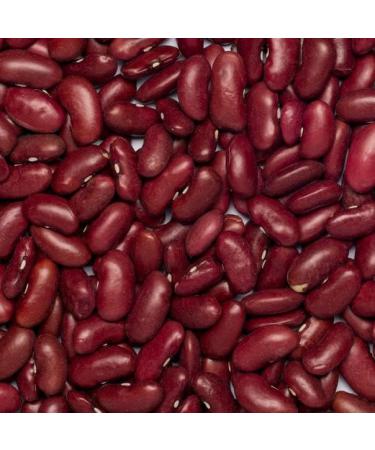 Wholefood Earth Organic Red Kidney Beans 500g - Raw, Vegan, GMO-Free - Buy Online on GoSupps.com