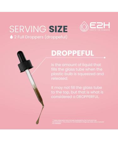 E2H Breastfeeding Supplement and Lactation Support - Liquid Lactation Supplement - Contains Fenugreek Milk Thistle Fennel and More - No Alcohol - Vegan - 2 Fl Oz 2 Fl Oz (Pack of 1) - Buy Online on GoSupps.com