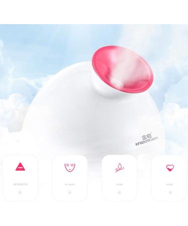 Facial Steamer Professional Face Steamer for Blackheads Nano Ionic Face Humidifier Warm Mist Face Sauna Deep Cleaning - Buy Online on GoSupps.com