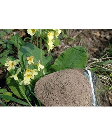 Krauterino24 Krauterino24 - Ground key root quantity: 250g