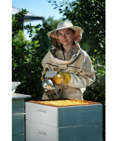 "The sweet treasure of Chilean Patagonia: Ulmo honey the Manuka of South America - 300 gr bewitching!" - Buy Online on GoSupps.com