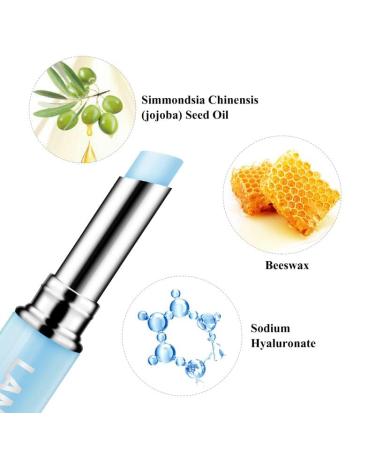 AKARY Hyaluronic Acid Lip Balm | Moisturizing & Hydrating Lip Care | Long-Lasting Protection Against Dryness & Chapping | 0.06 oz - Buy Online on GoSupps.com