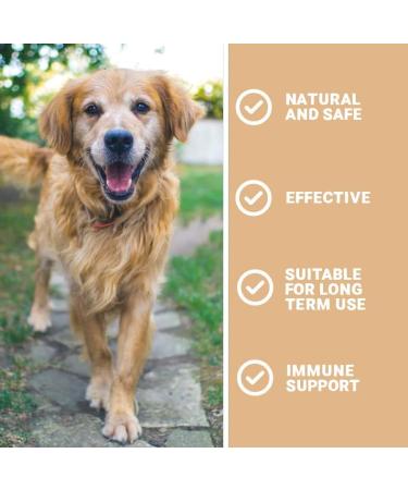 Pets Purest All Itch and Immunity Support Supplement Drops 50ml - Natural Skin Aid for Dogs & Cats - Paw Licking, Itchy Ears, Irritation, Watery Eyes - Buy Online on GoSupps.com